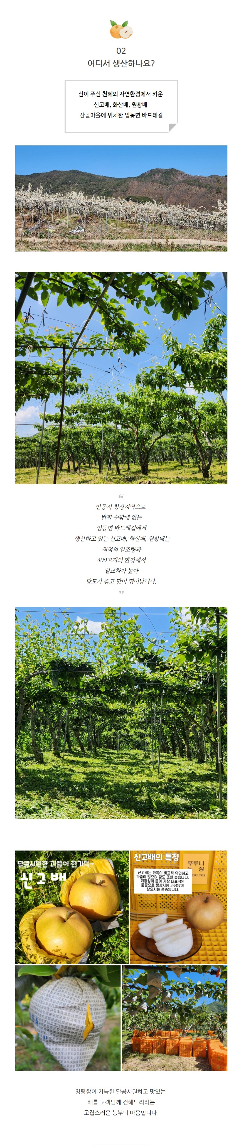 화산배3.jpg