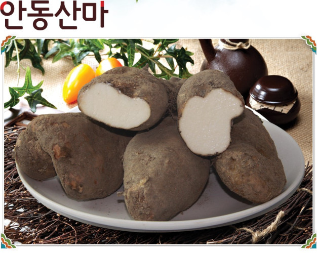 [산촌청계]2023년 햇마 안동 산마 중5kg