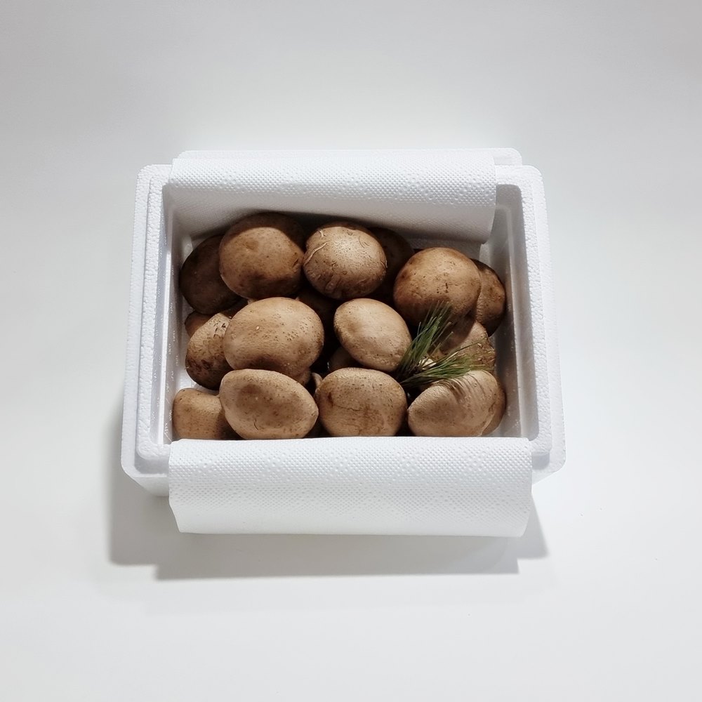 [버섯결] 초가송이버섯 선물포장 고급형1kg