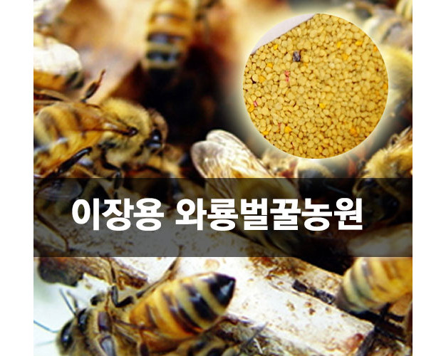 와룡벌꿀 벌화분 생화분 꽃가루 1kg