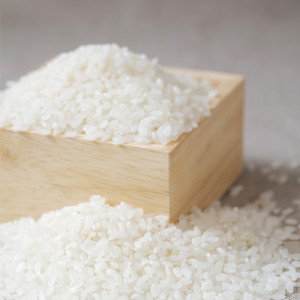 [참숯쌀]백진주쌀 백미 20kg (2023년산)